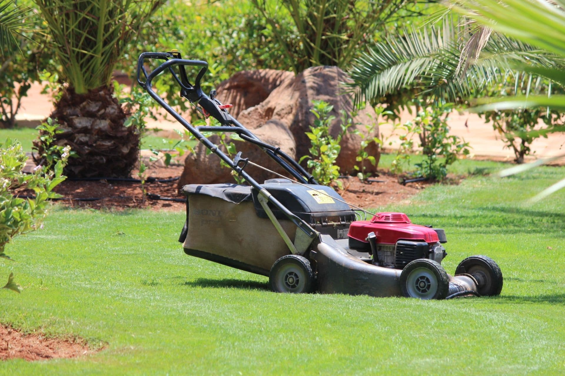 Lawnmower on green grass