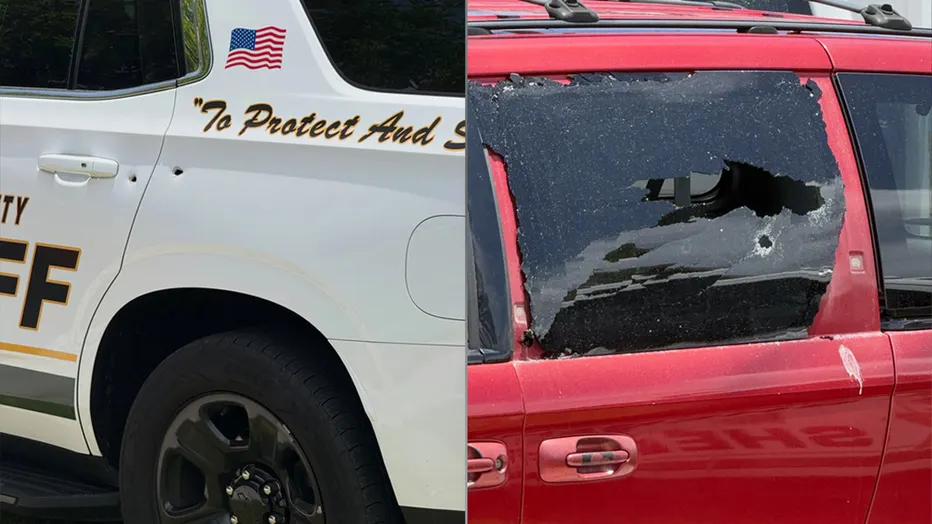 bullets in two cars