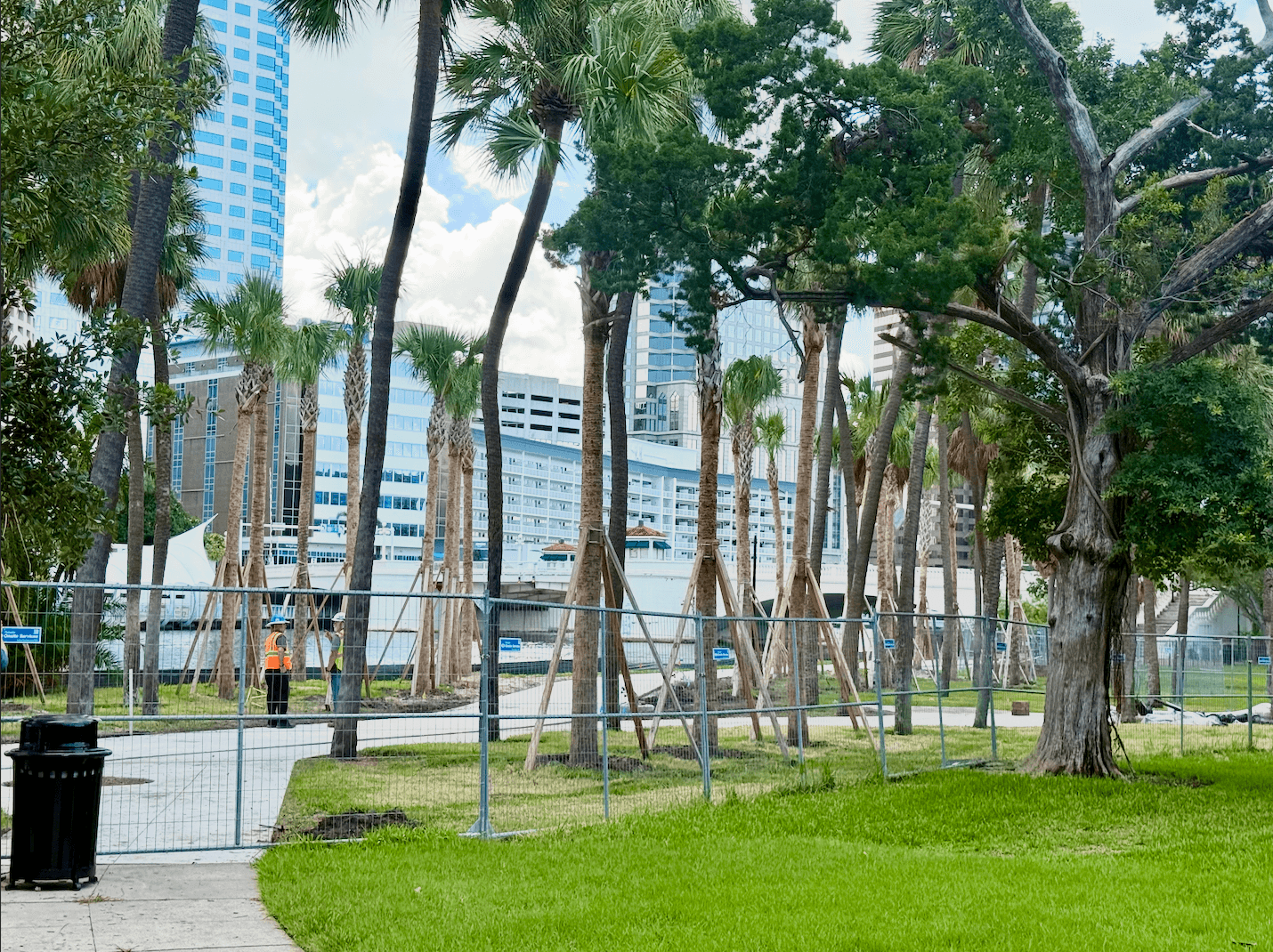 A fence around palm trees and a sidewalk