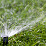 Tampa’s Water Department to Offer Webinars on Water Conservation